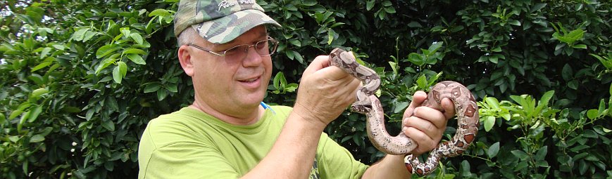 The author returning a rescued boa constrictor to the rain forest!